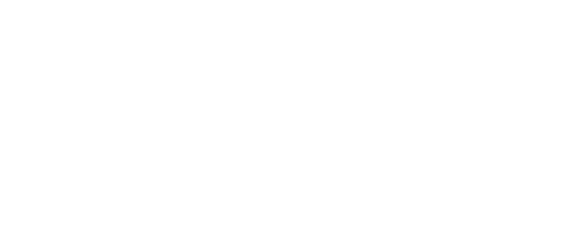 Schnappauf Consulting